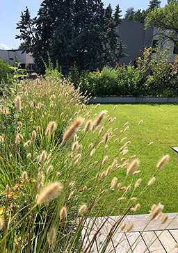 Projet d'aménagement extérieur - Landscape Paysagiste
