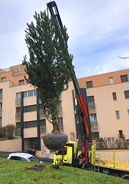 Projet d'aménagement extérieur - Landscape Paysagiste