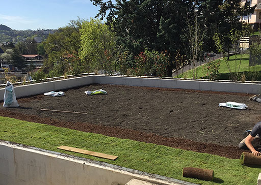 Projet d'aménagement extérieur - Landscape Paysagiste