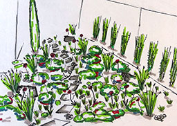 Conception / étude d'aménagement extérieur - Landscape Paysagiste